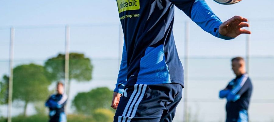 Перед матчем з Албанією збірна України втратила футболіста: в Сергій Реброва додалося проблем